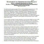 10 Statement Of Administration Policy Templates In PDF DOC Free
