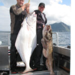 Alaska Halibut Fishing Alaska Fish On Charters