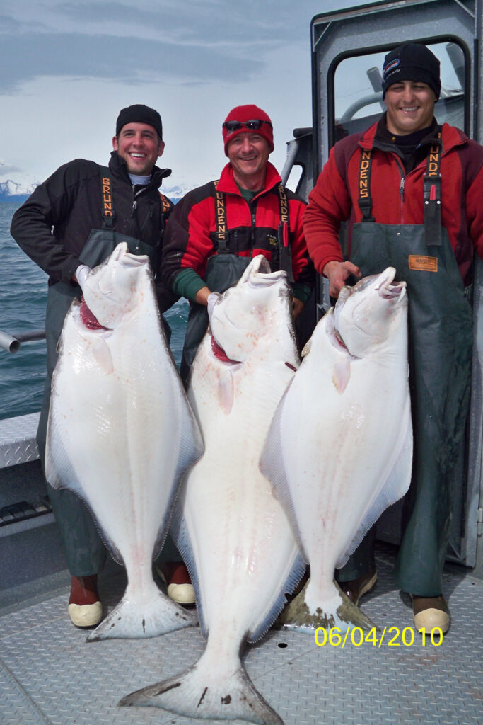 Alaska Halibut Fishing Fish For Halibut In Alaska Alaska Fish On 