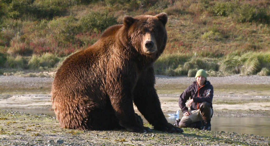 Bear Like Mountainfilm