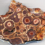 Chertified Pisolitic Bauxite Arkansas USA Chertified Pi Flickr