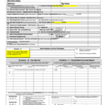 Commerce City Sales use Tax Form Printable Pdf Download