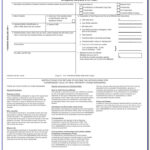 Csd 1 Boiler Inspection Form Maryland Form Resume Examples AlOdzMjD1g