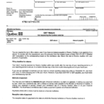 Form Vdz 471 V Remittance Slip Printable Pdf Download