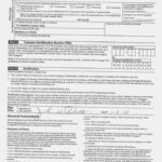 Free Online W9 Form 2020 W9 Tax Form 2020