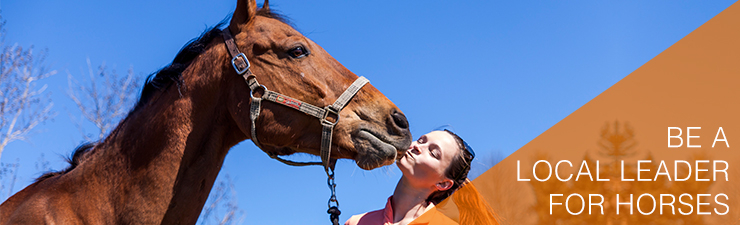 Join The ASPCA Horse Action Team ASPCA