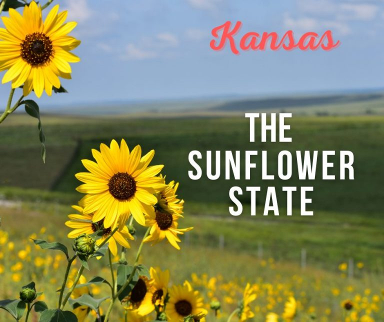 Kansas State Nickname The Sunflower State