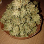 LondonWeed Net Top London UK Ireland Scotland Wales Weed From