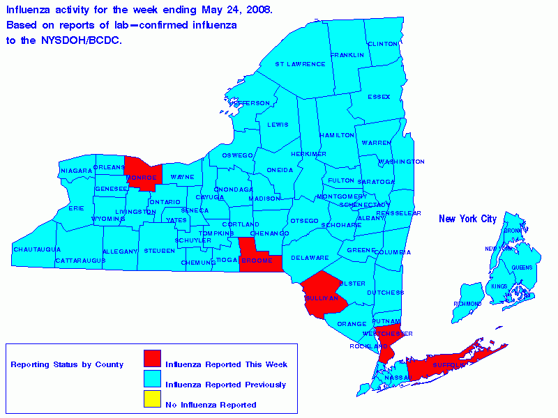 Map Of Flu Activity In New York State For The Week Ending May 24 2008