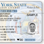 NY Allows Print at home temporary Driver Licenses Capitol Confidential