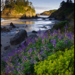 Picture Trinidad State Beach Humboldt County California Stock Photo