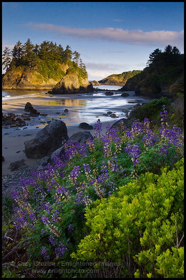 Picture Trinidad State Beach Humboldt County California Stock Photo 