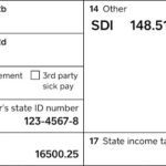 Understanding 2017 W 2 Forms