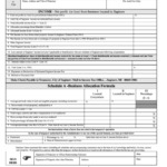 Form S 1041 City Of Saginaw Income Tax Fiduciary Return 2012