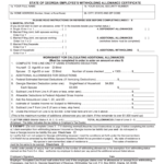 Ga G4 Fill Out And Sign Printable PDF Template SignNow