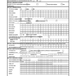 Ghana Revenue Authority Taxpayer Registration Form Individual