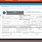 Simple Way To Declare Tax To ERCA Tax Application In Ethiopia